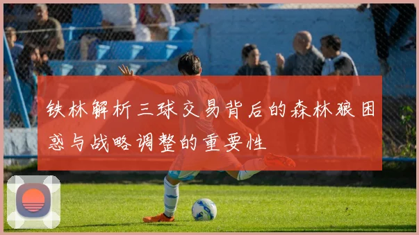 铁林解析三球交易背后的森林狼困惑与战略调整的重要性